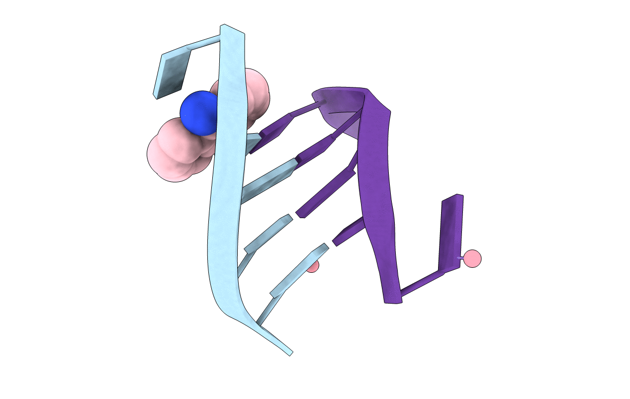 1FN1 image