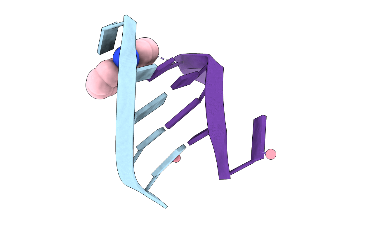 1FN2 image