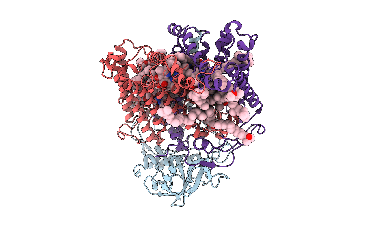 1FNP image