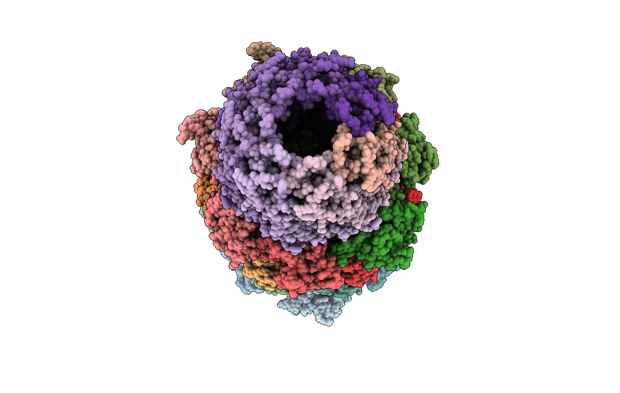 1FNT image