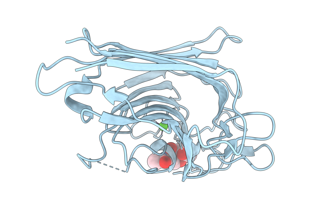 1FNZ image