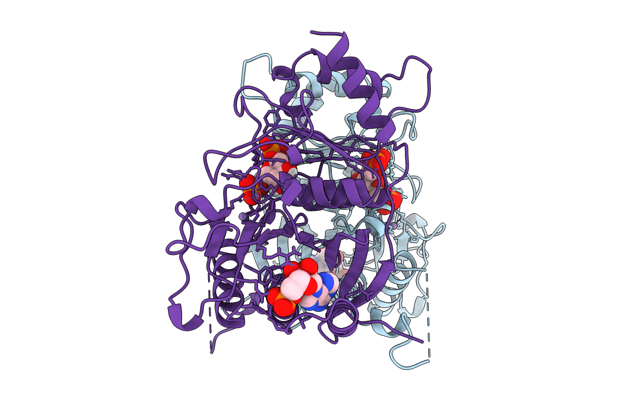 1FPD image