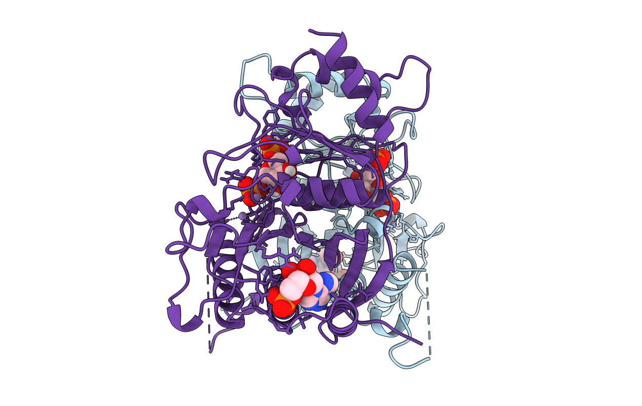 1FPG image
