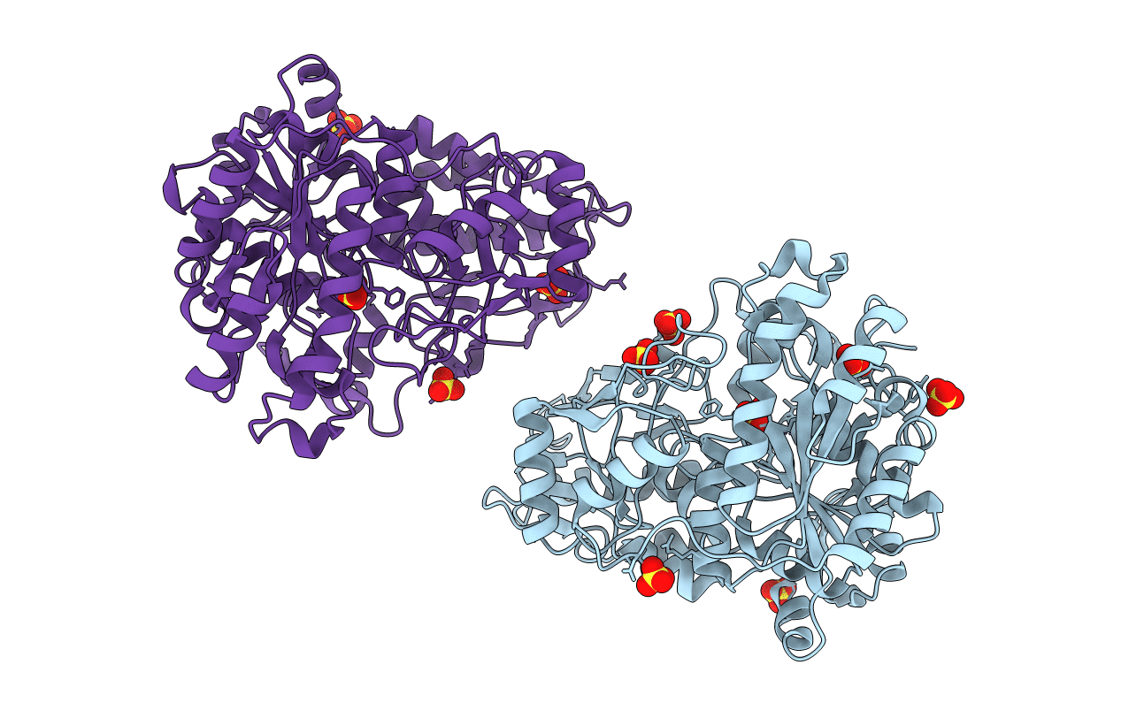 1FPM image