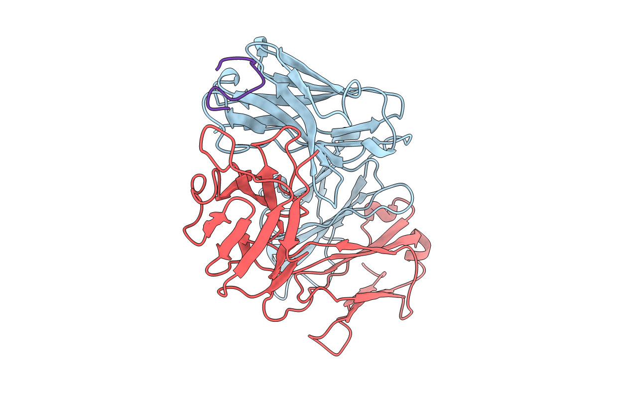 1FPT image
