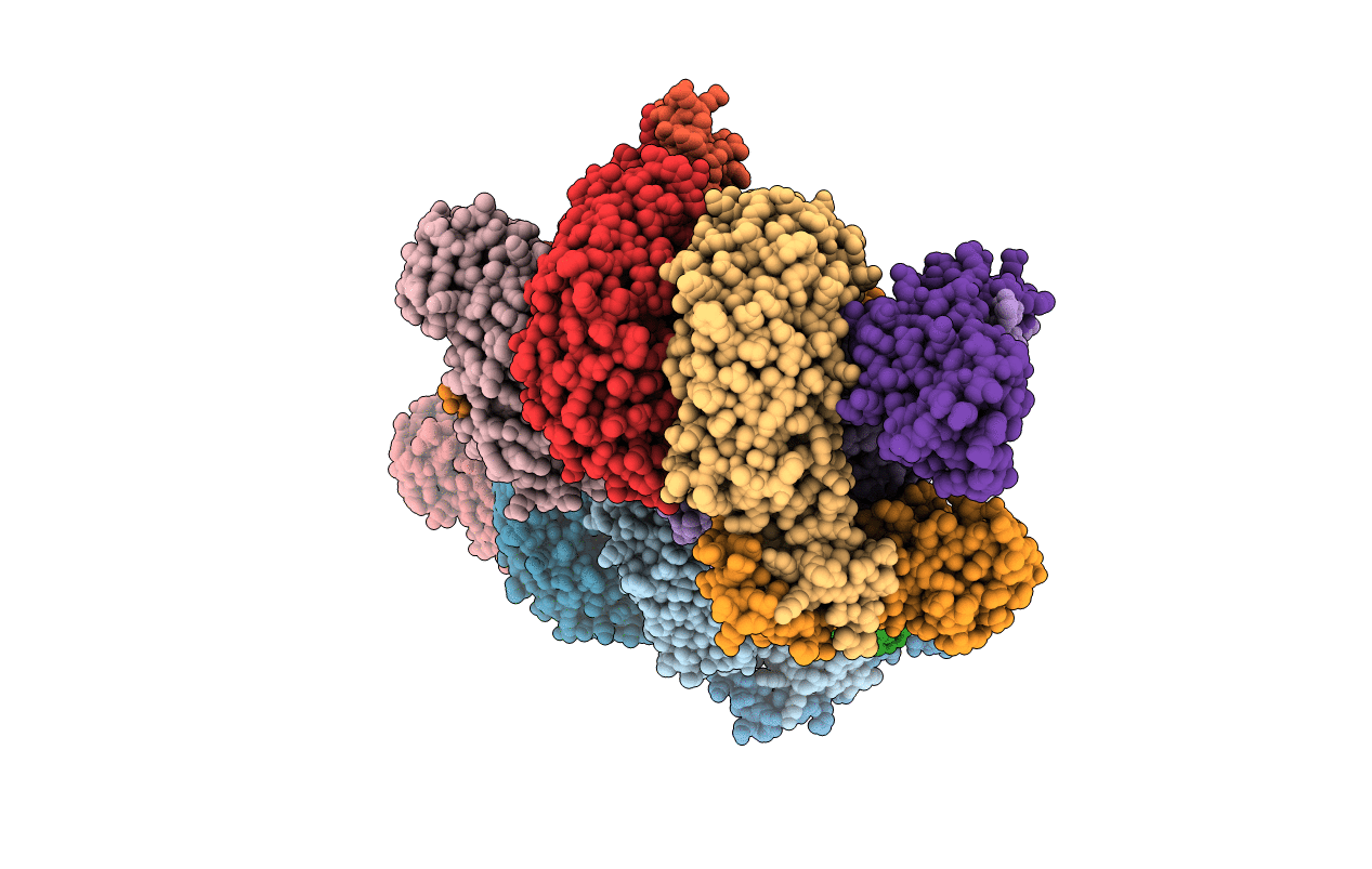 1FQV image
