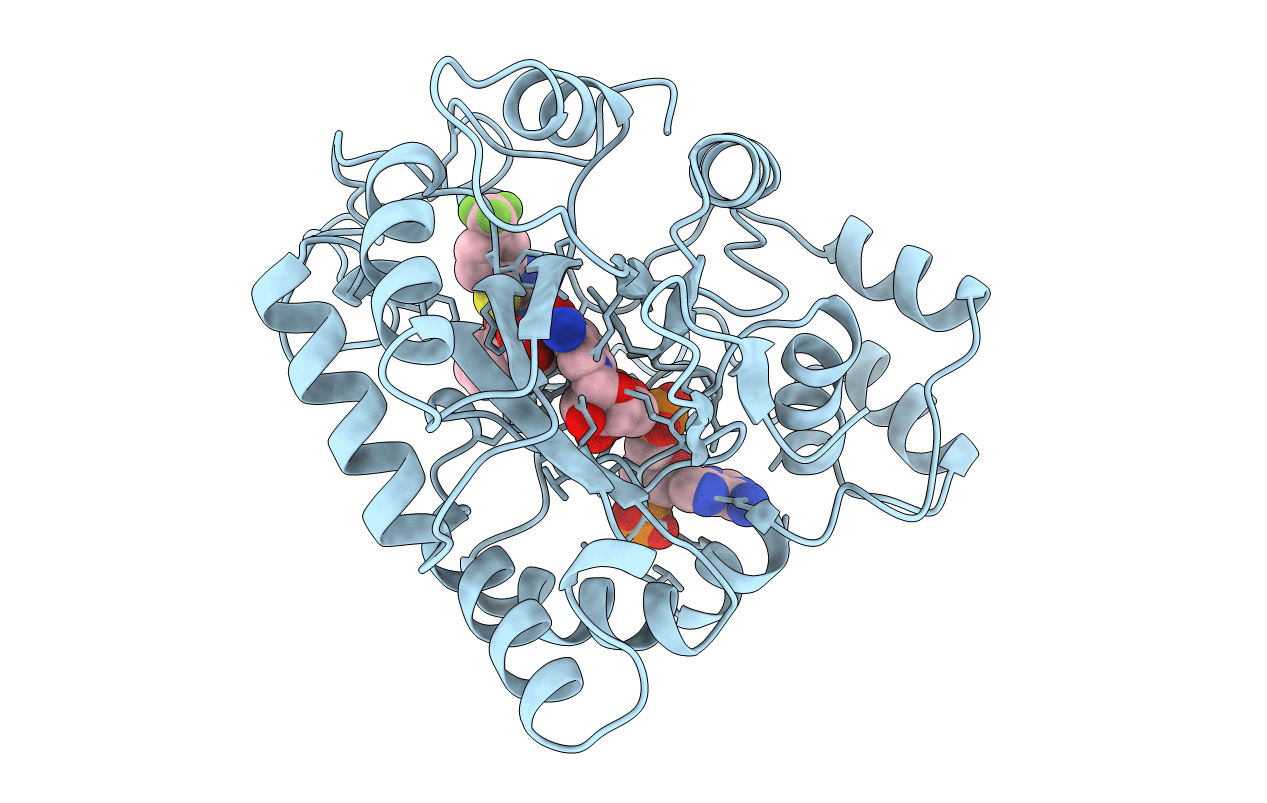 1FRB image