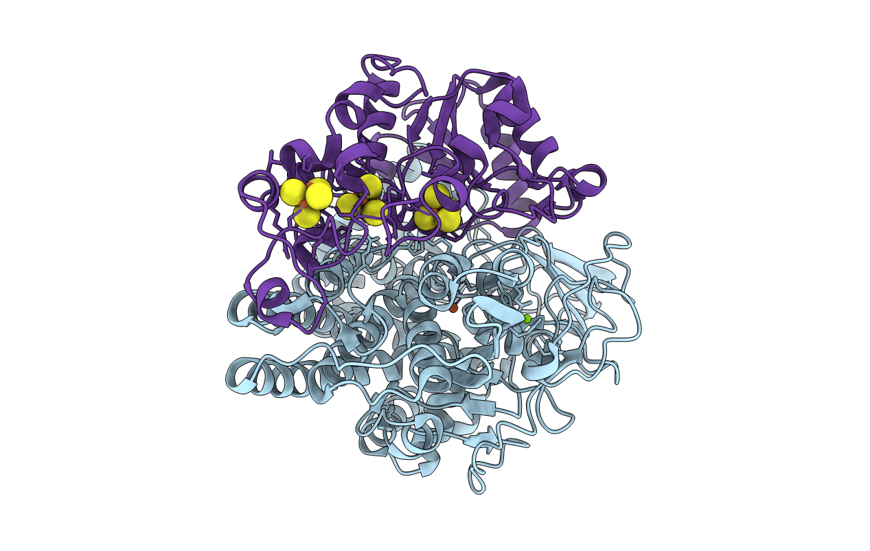 1FRF image