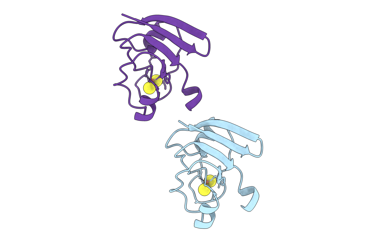 1FRR image