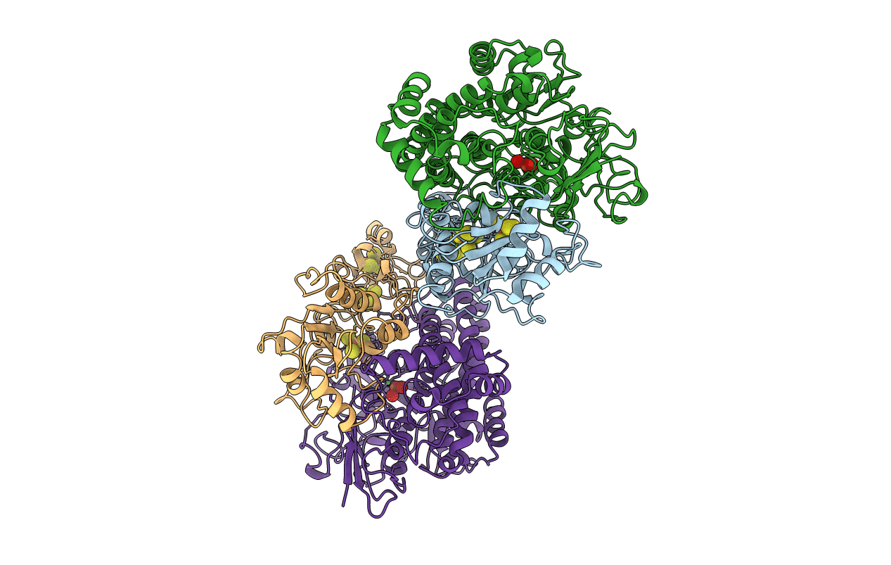 1FRV image