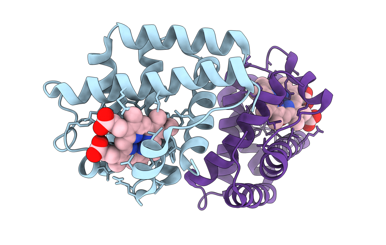 1FSL image