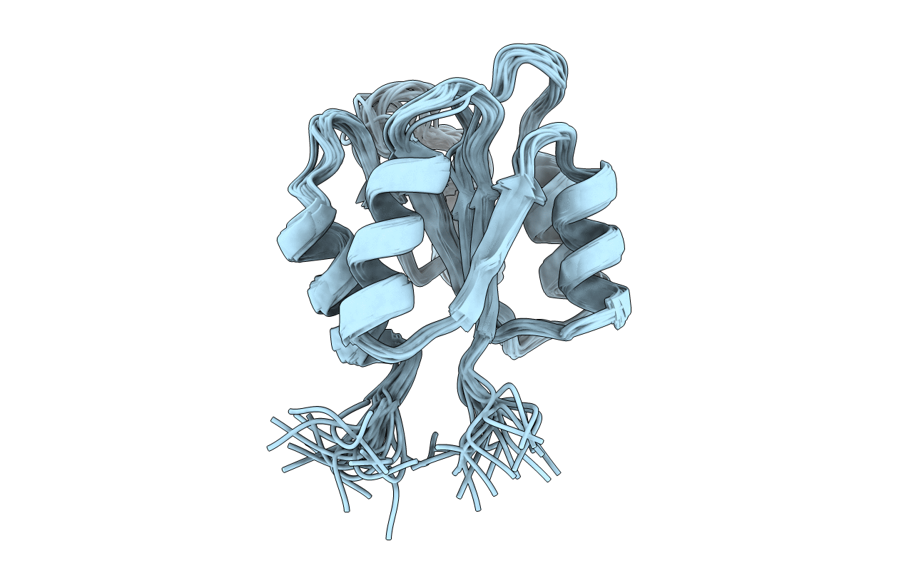 1fsp image