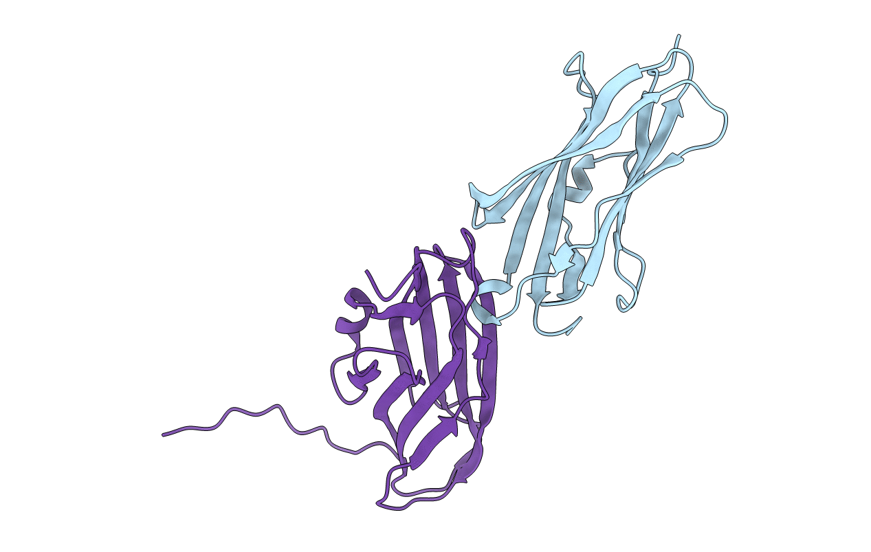 1FST image