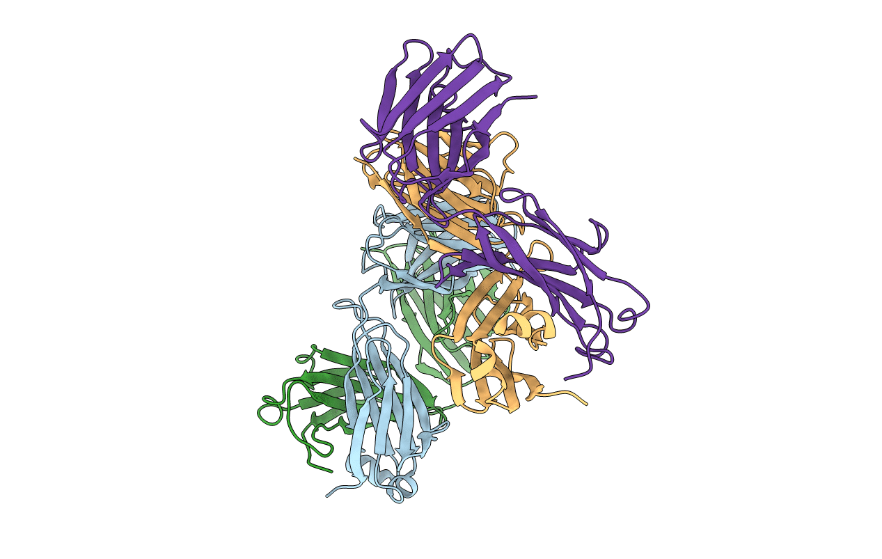 1FVD image