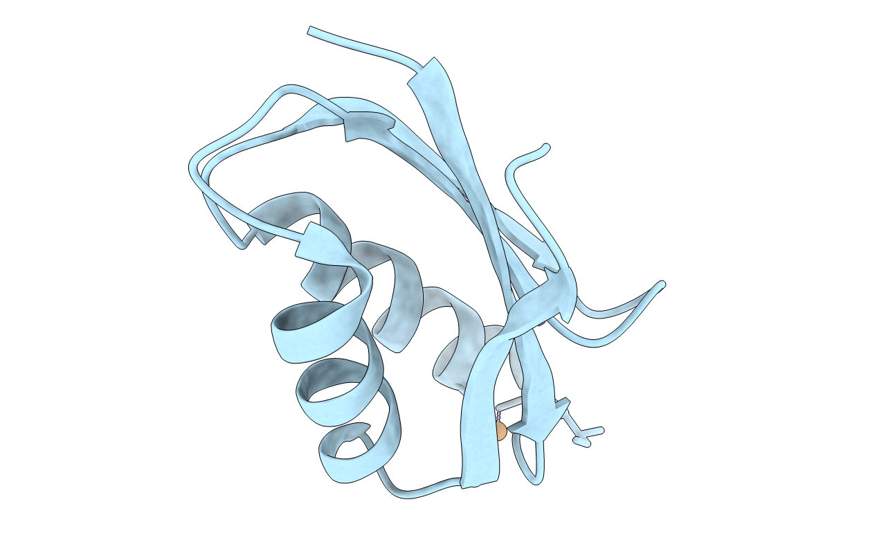 1FVS image