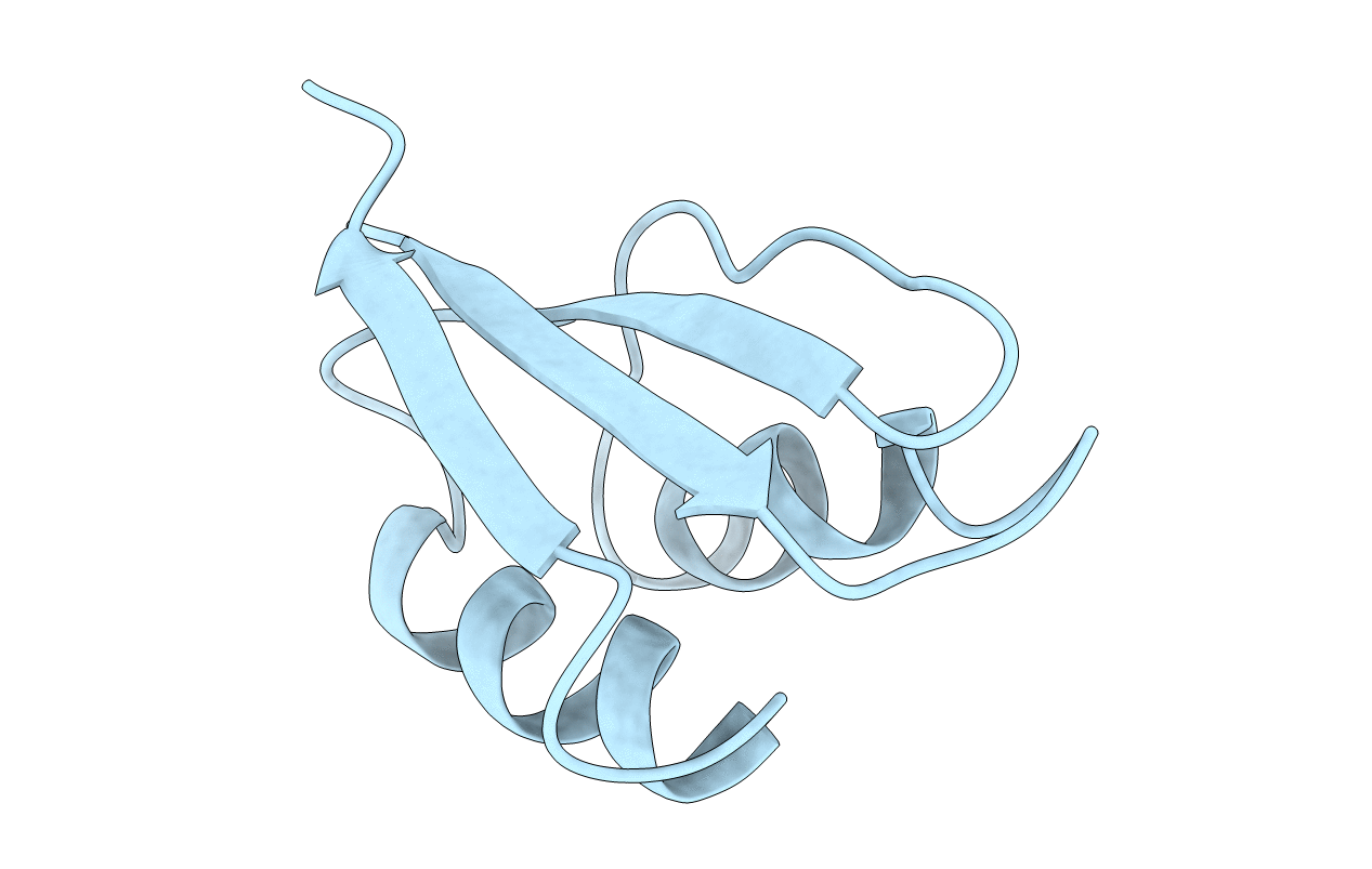 1FWP image