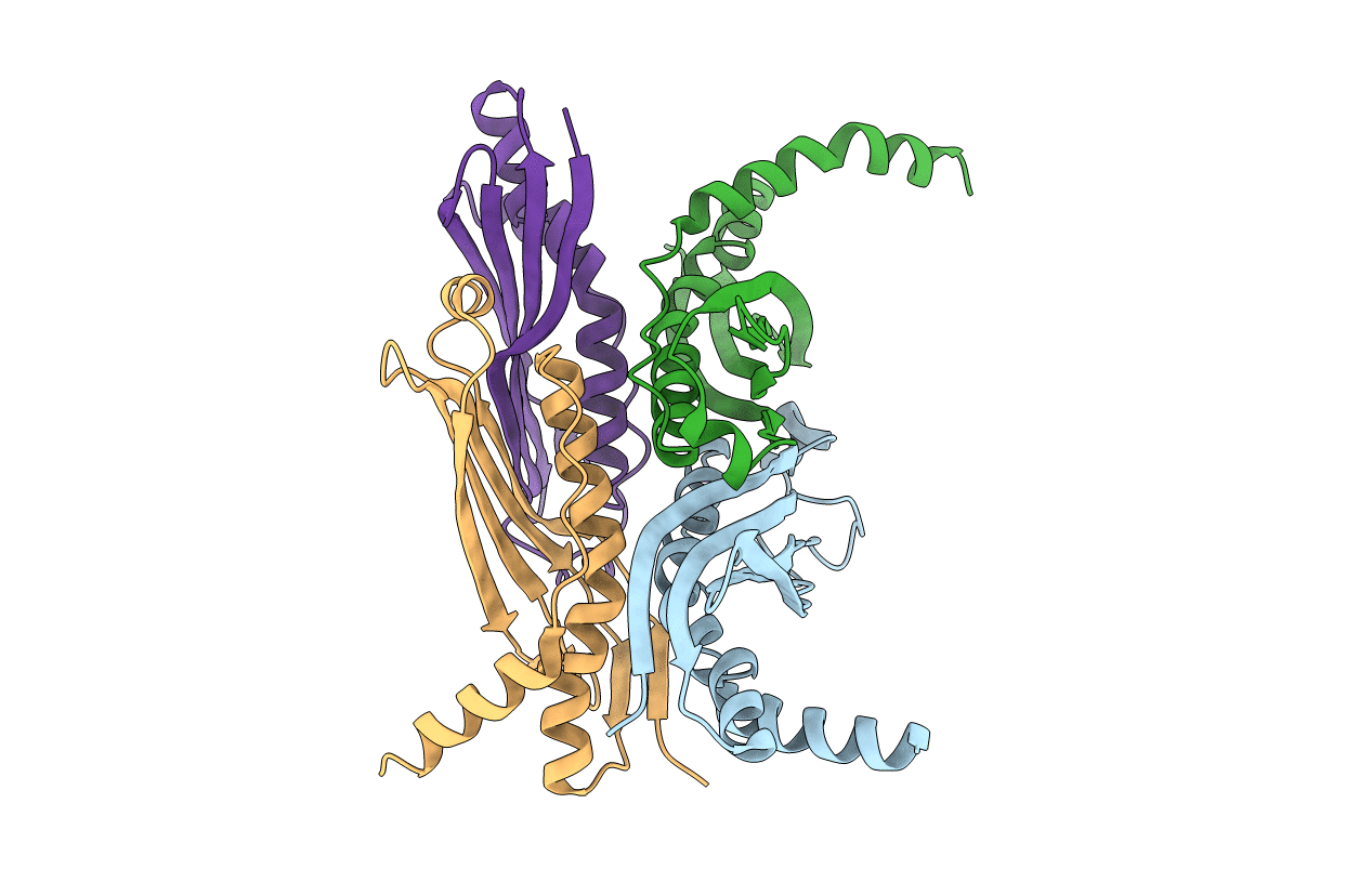 1FX3 image