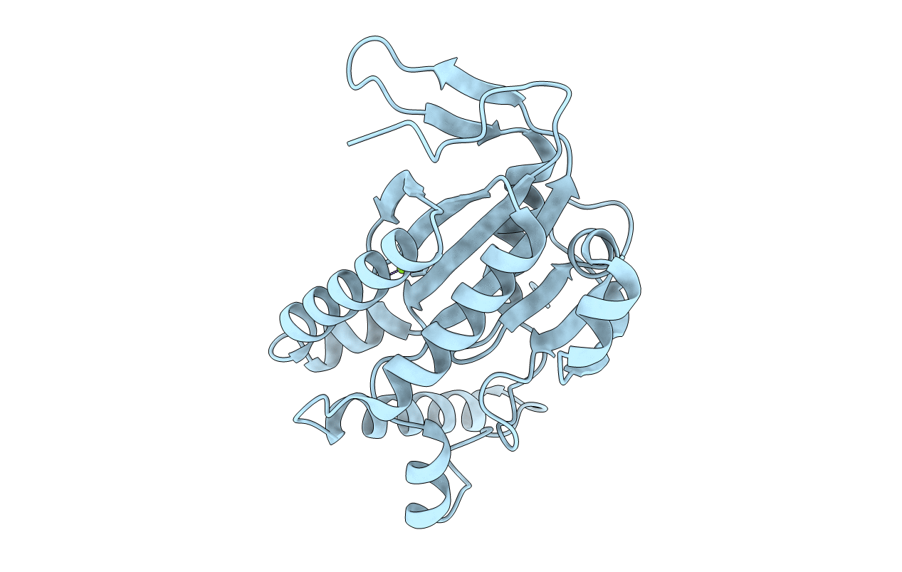 1FX4 image