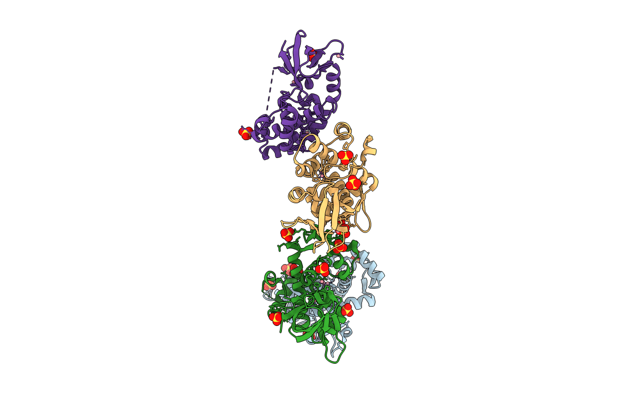 1FX7 image
