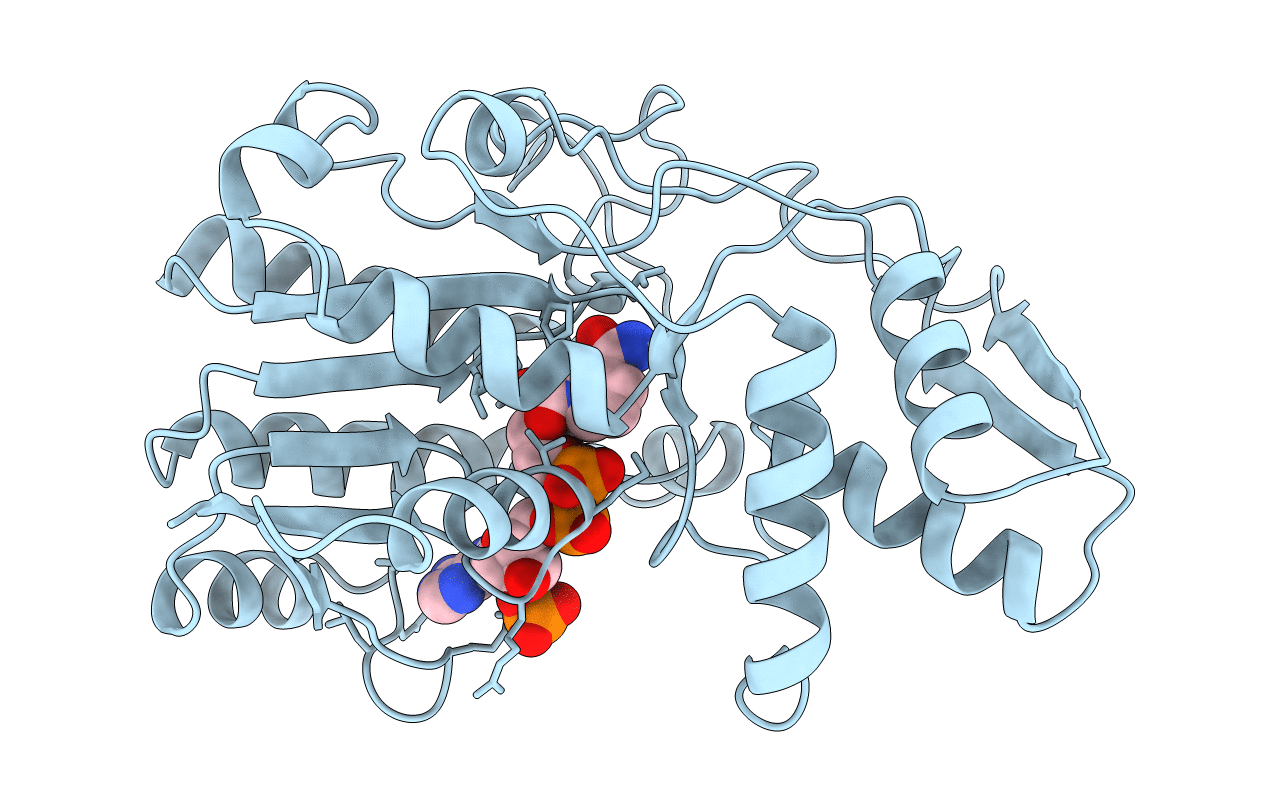 1FXS image
