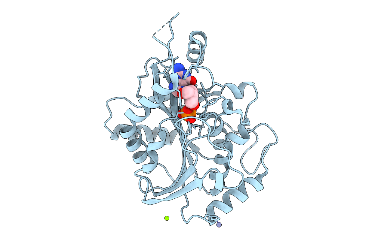 1FXU image