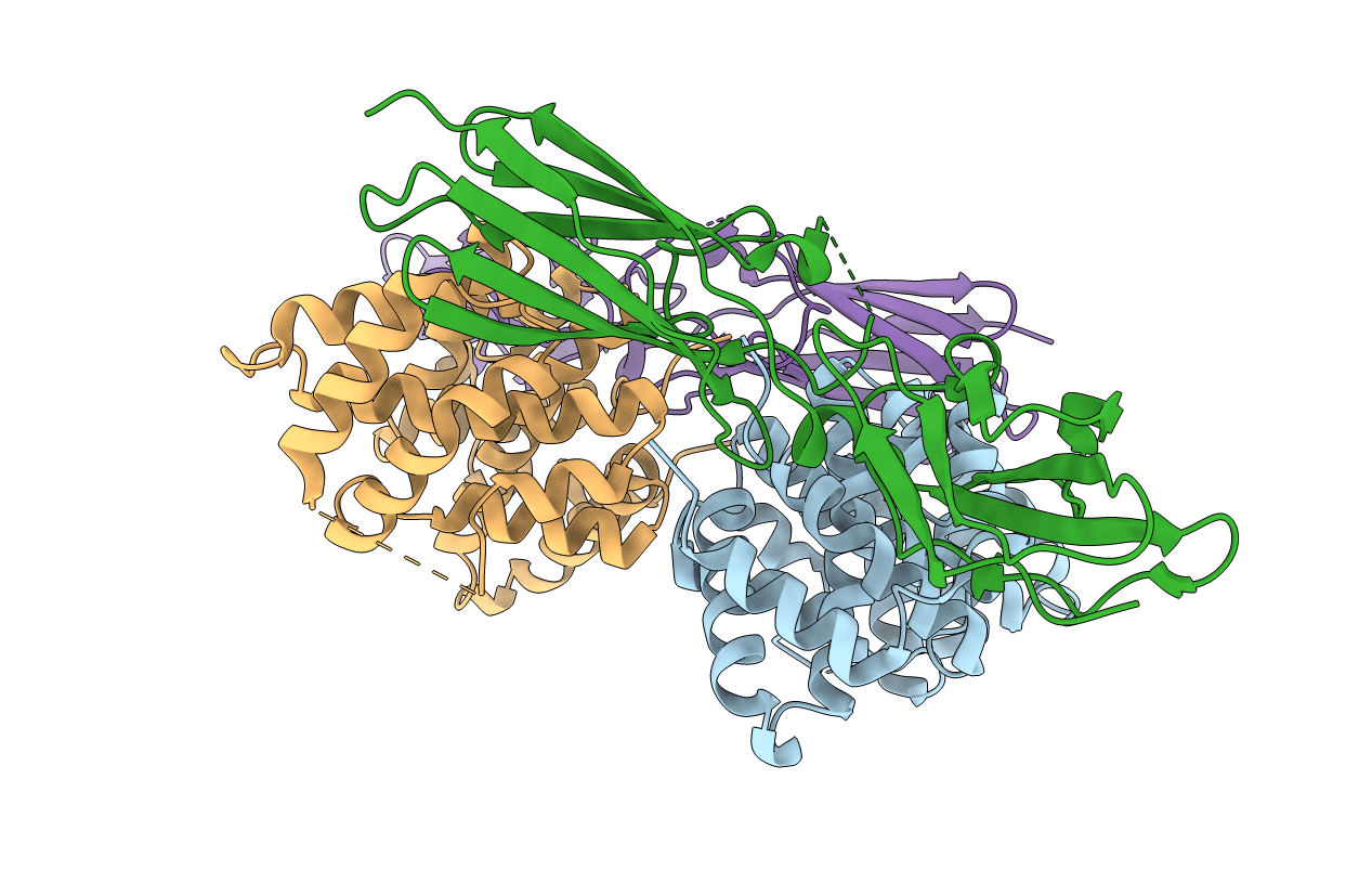 1FYH image