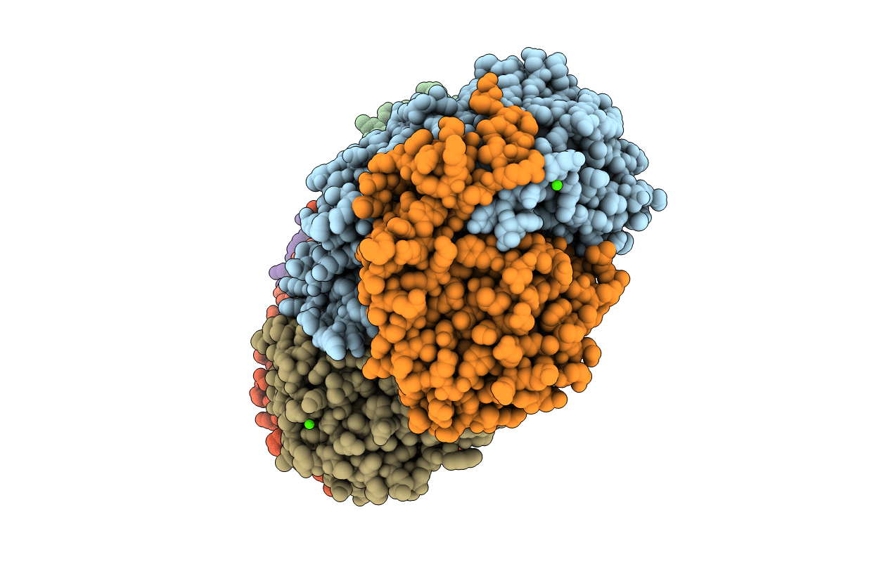 1FZ9 image