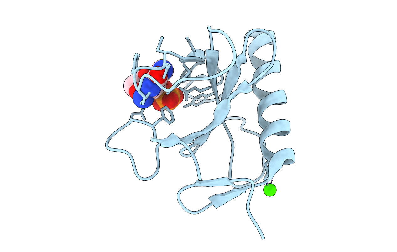 1G02 image