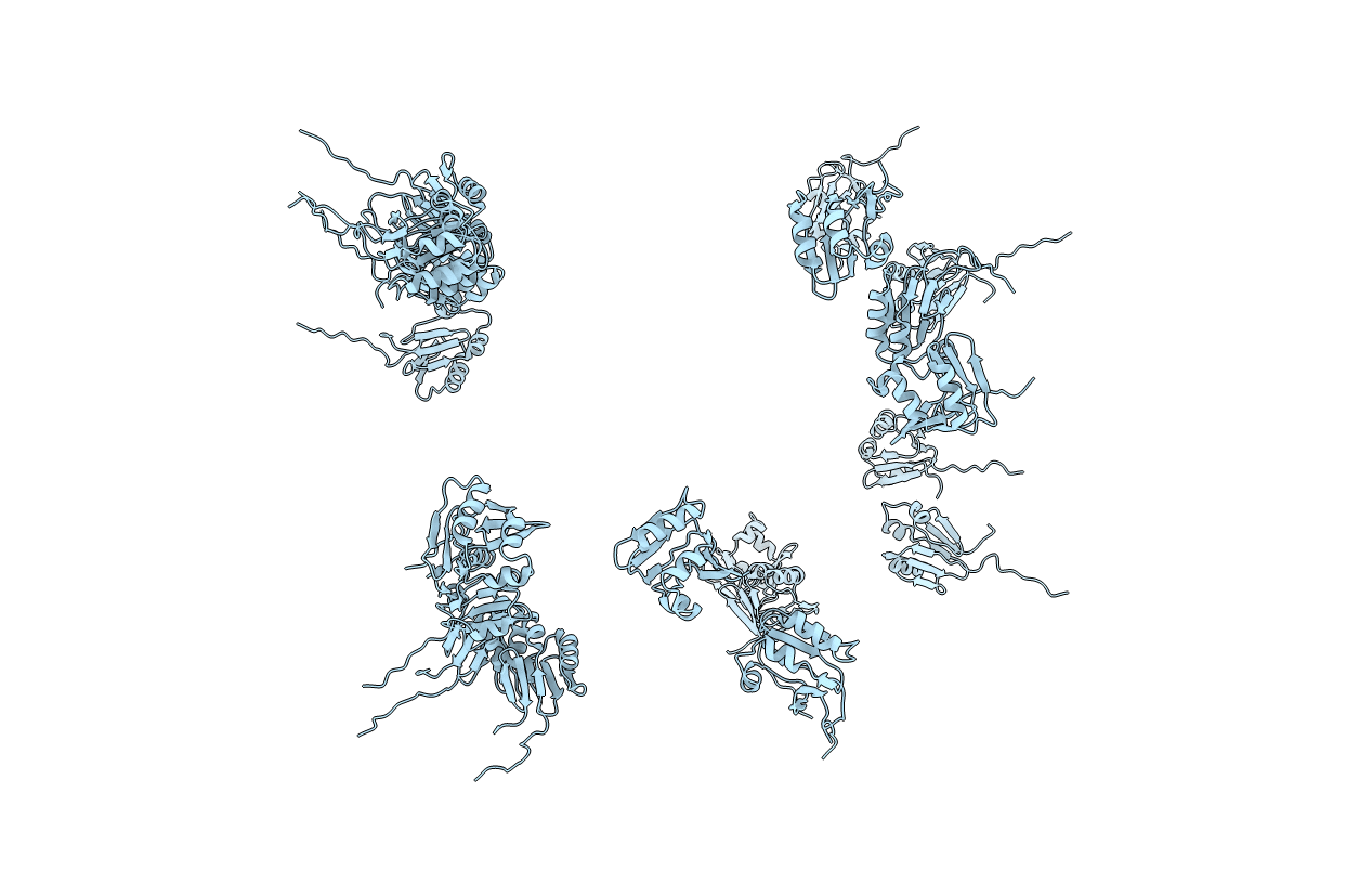 1G11 image