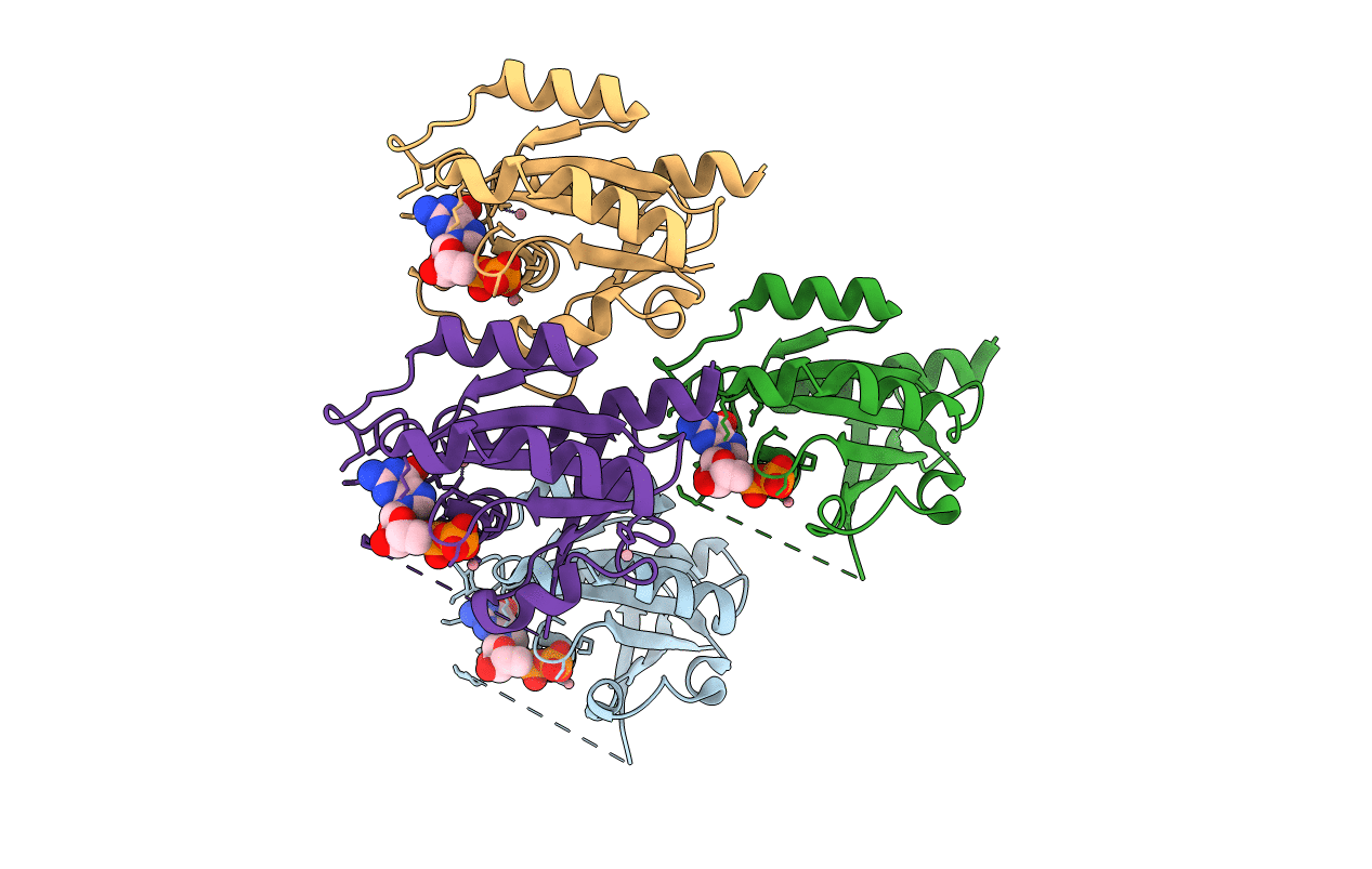 1G16 image