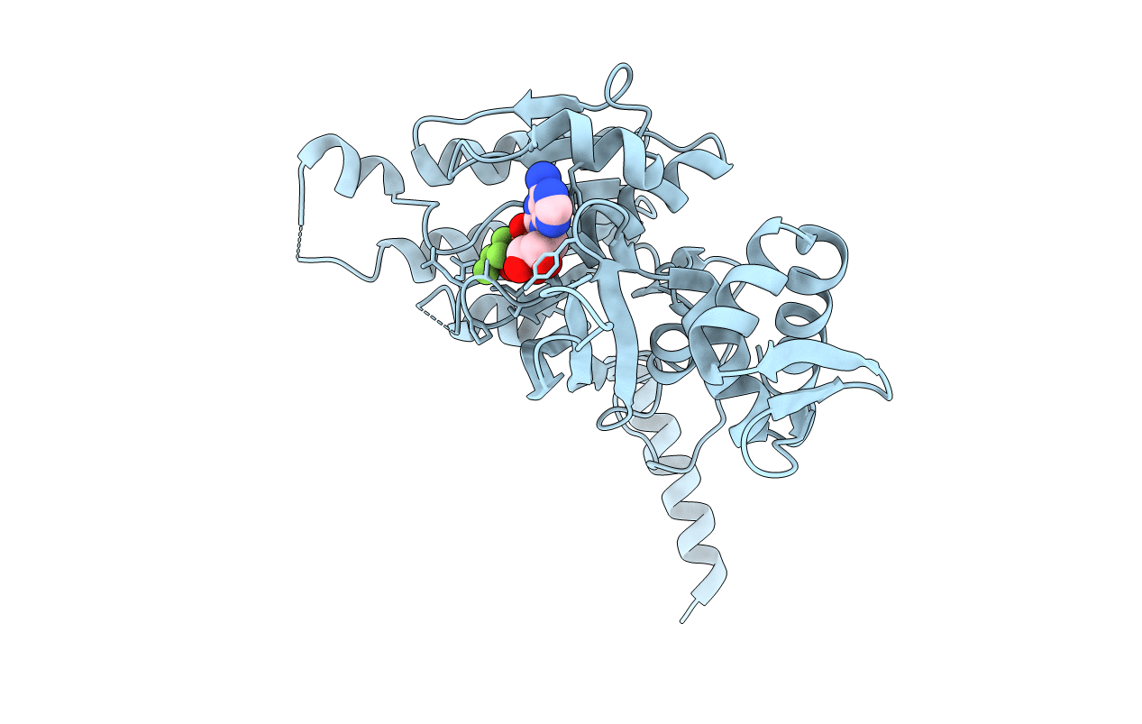 1g18 image