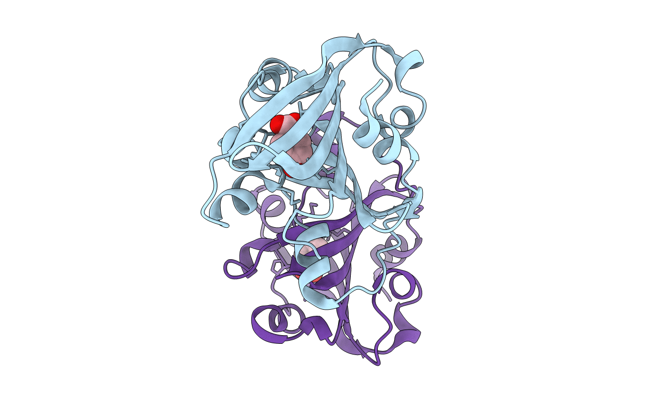 1g1b image
