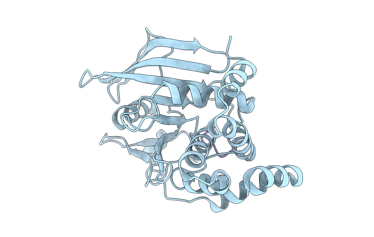 1G1F image