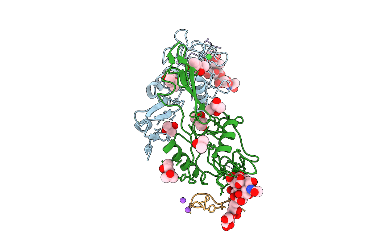 1G1S image