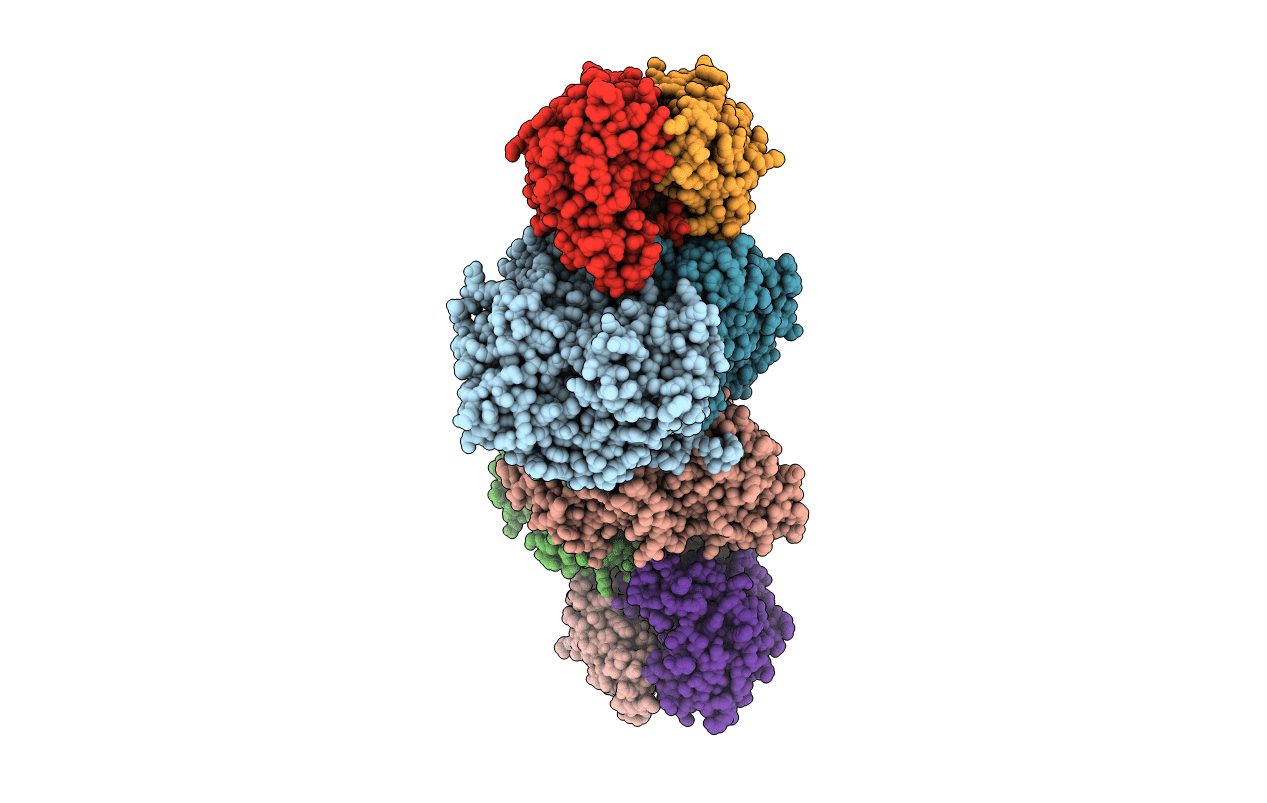 1G20 image