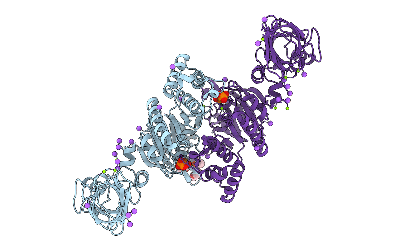 1G29 image