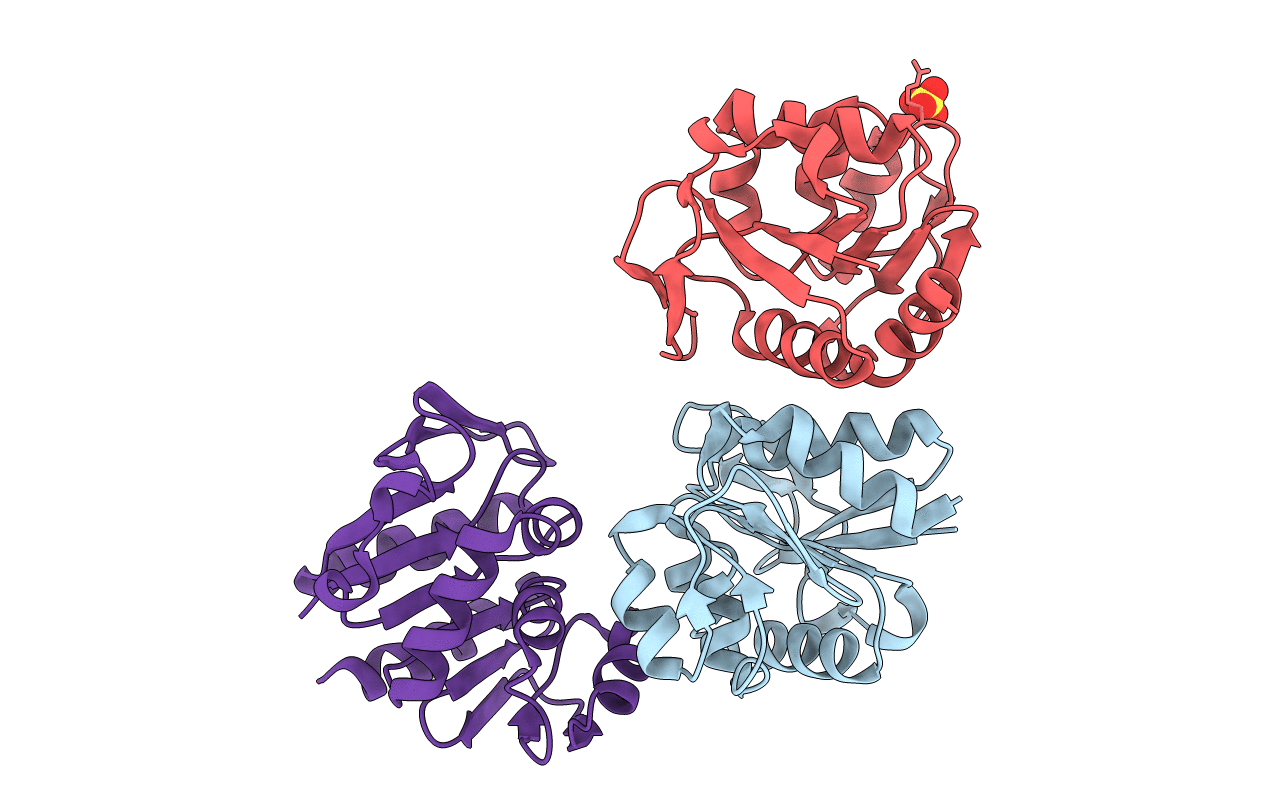 1G2I image