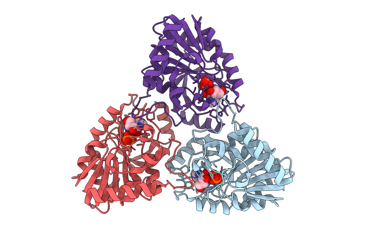 1G2O image