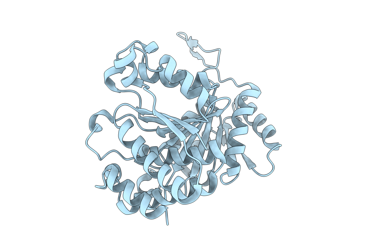 1G2U image
