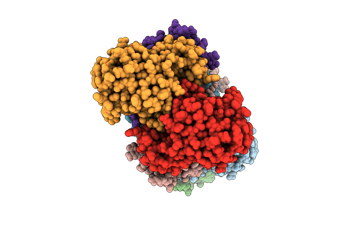 1g2v image