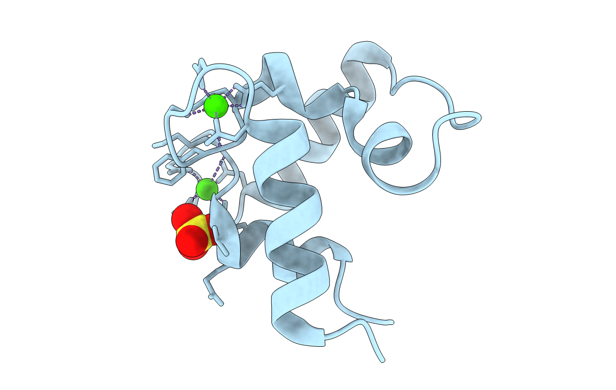 1G33 image