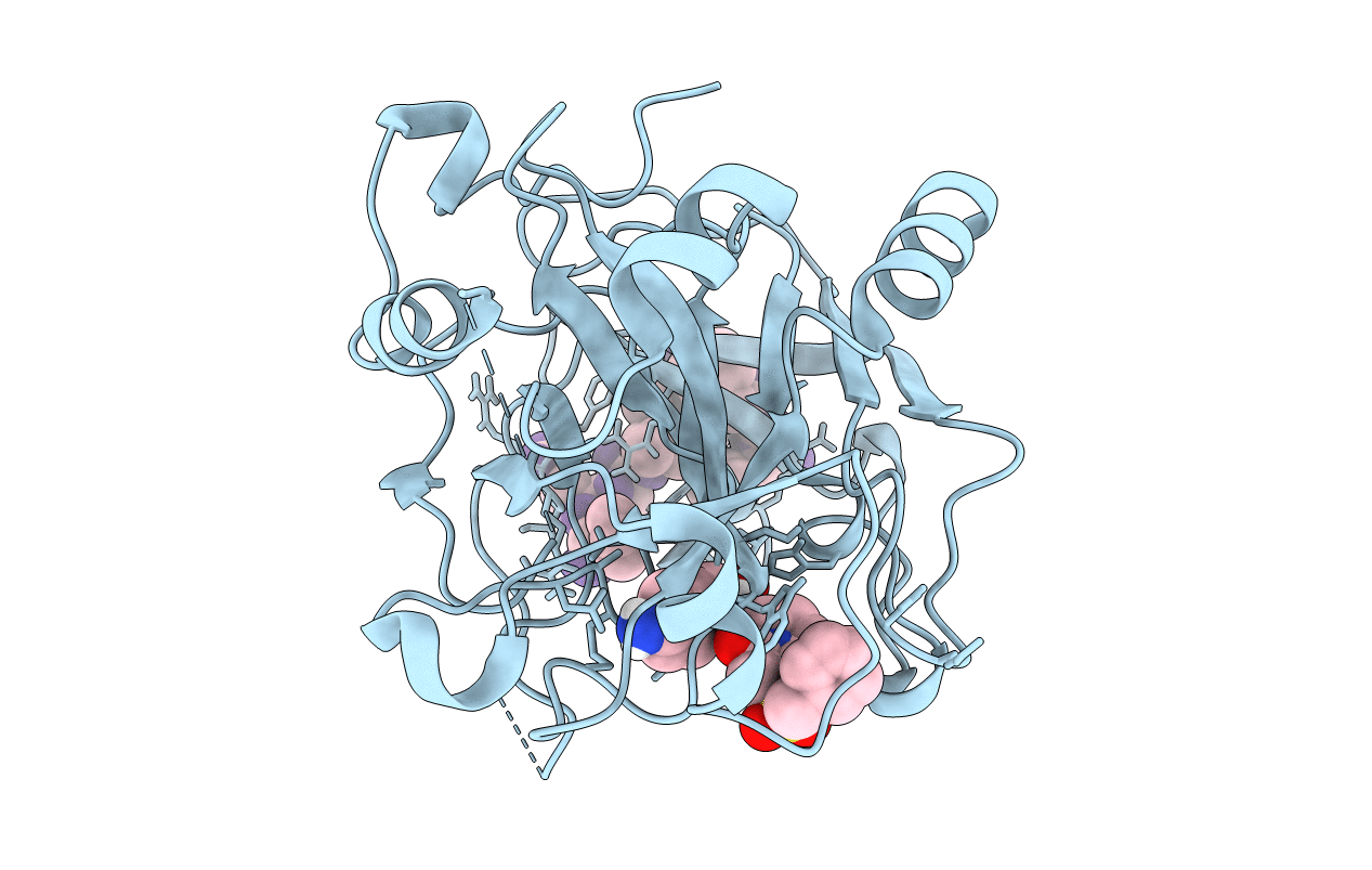 1G37 image