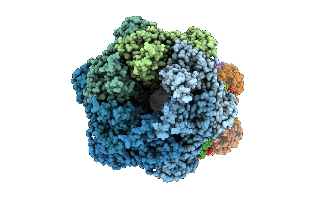 1G3I image