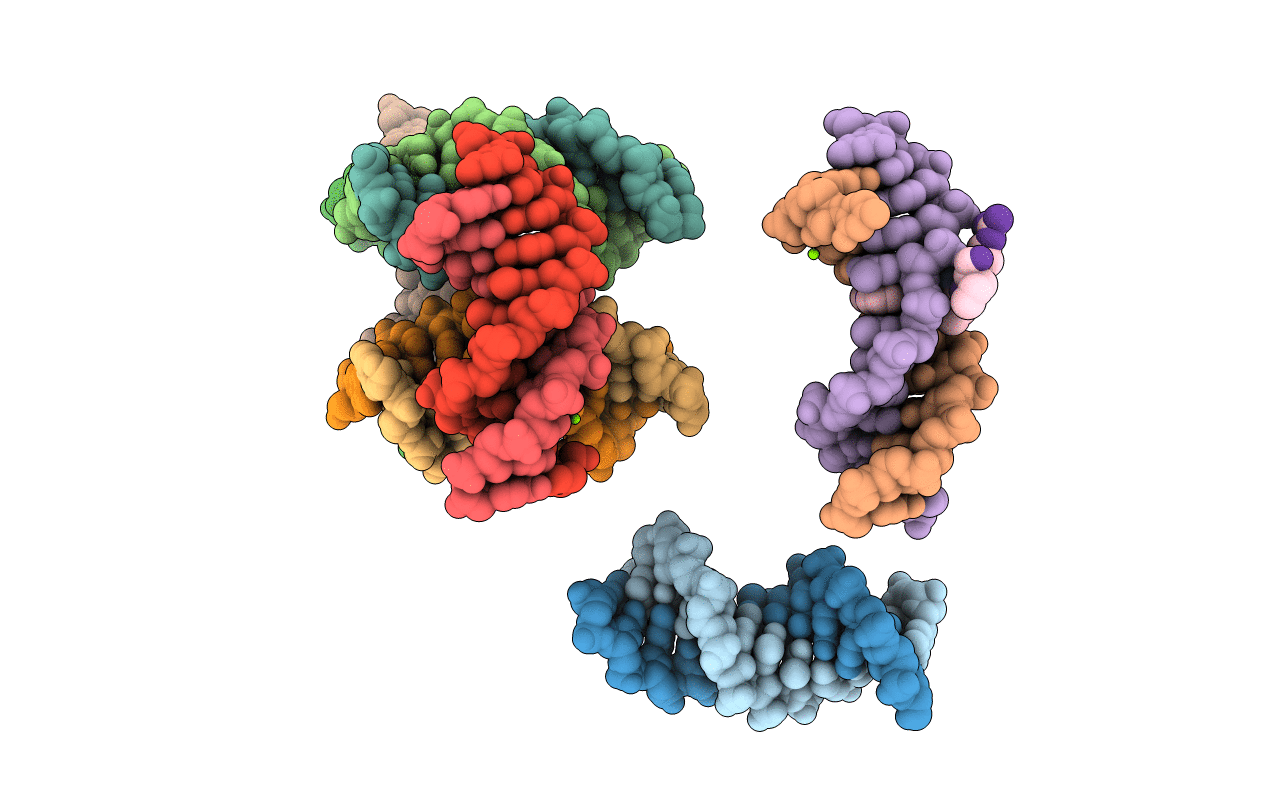 1G3X image