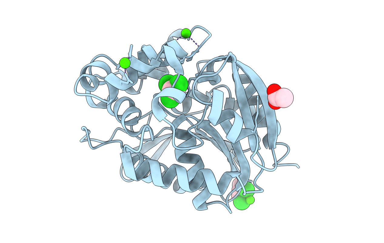 1G42 image
