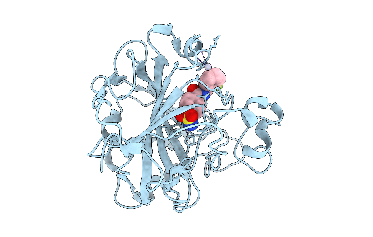 1g45 image