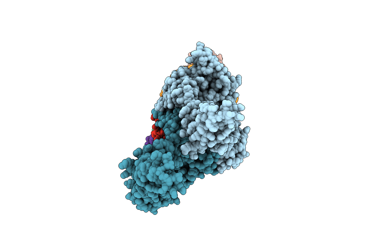 1G4B image
