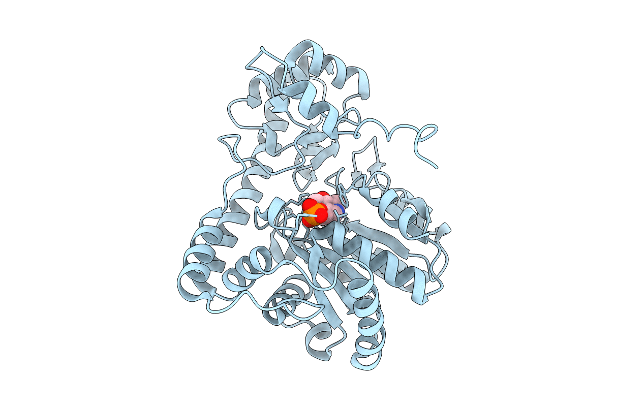 1G4V image