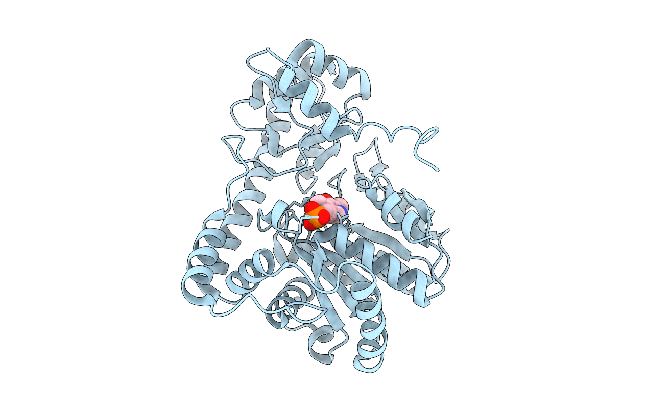 1G4X image