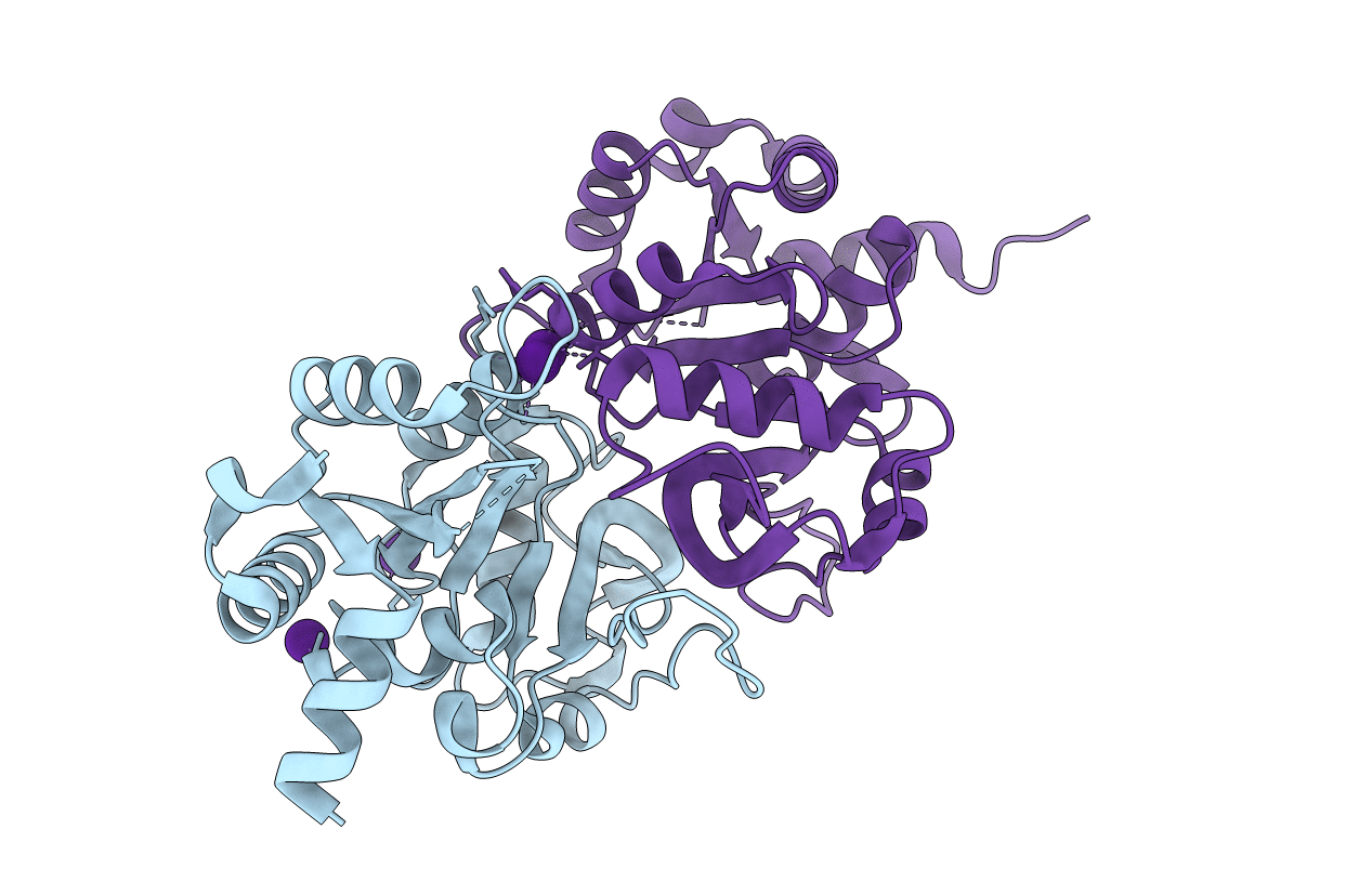 1G57 image
